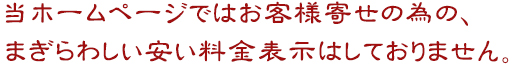 等ホームページではまぎらわしいやすい料金表示はしておりません